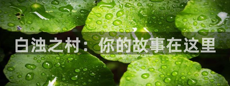51动漫禁漫成人入口：白浊之村：你的故事在这里
