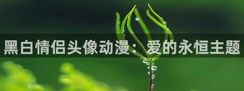 51动漫区：黑白情侣头像动漫：爱的永恒主题