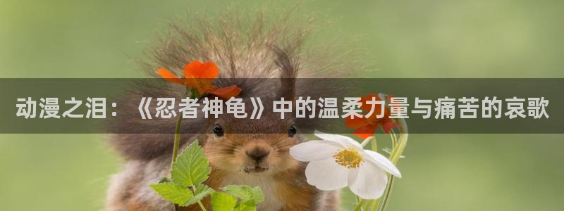 51动漫网站首页：动漫之泪：《忍者神龟》中的温柔力量与痛苦的哀歌