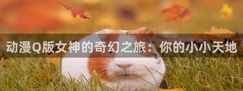 51动漫破解版免费看nba：动漫Q版女神的奇幻之旅：你的小小天地