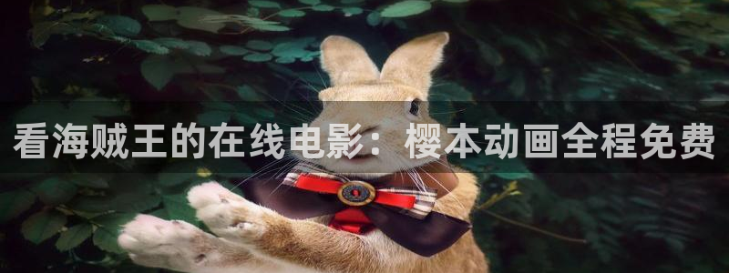 51动漫官网官方进入版本网页在线：看海贼王的在线电影：樱本动画全程免费