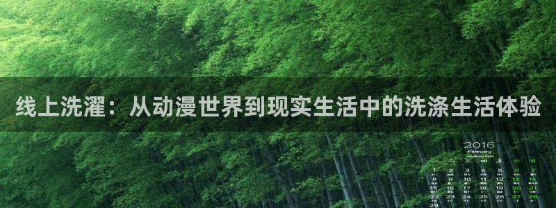 51动漫免费版：线上洗濯：从动漫世界到现实生活中的洗涤生活体验
