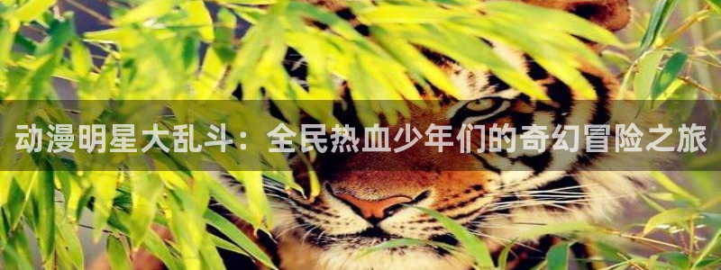 51动漫屋：动漫明星大乱斗：全民热血少年们的奇幻冒险之旅