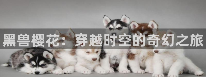 51动漫官网版：黑兽樱花：穿越时空的奇幻之旅