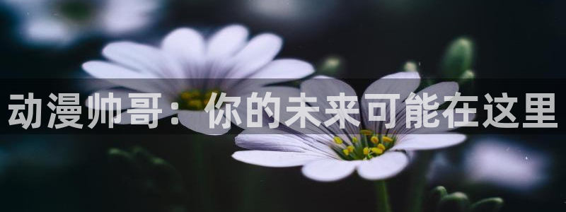 51动漫大全最新动漫推荐：动漫帅哥：你的未来可能在这里