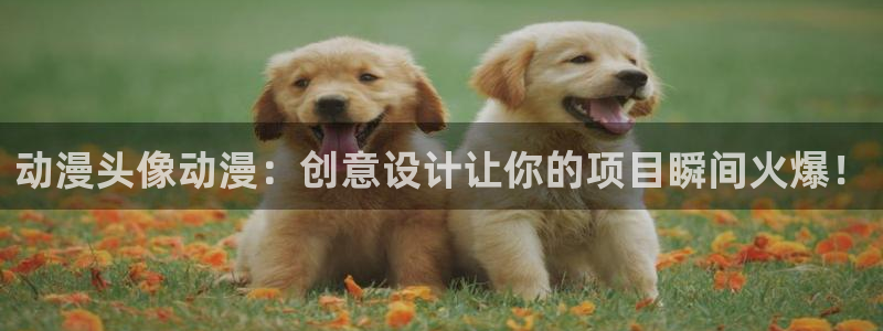 51动漫打扑克：动漫头像动漫：创意设计让你的项目瞬间火爆！