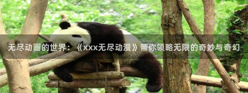51动漫官方：无尽动画的世界：《xxx无尽动漫》带你领略无限的奇妙与奇幻