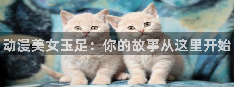 51动漫成人：动漫美女玉足：你的故事从这里开始